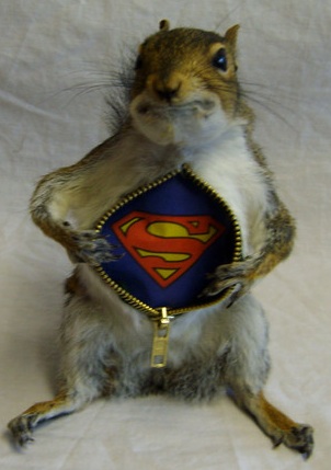 Superman Squirrel