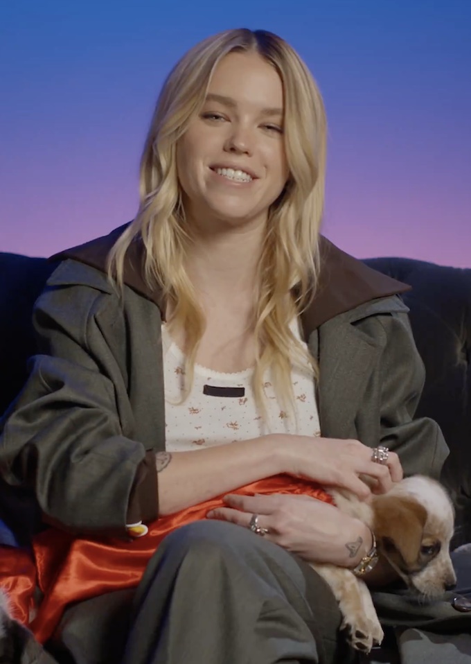 Supergirl Puppy Bowl